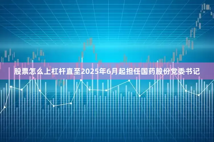 股票怎么上杠杆直至2025年6月起担任国药股份党委书记