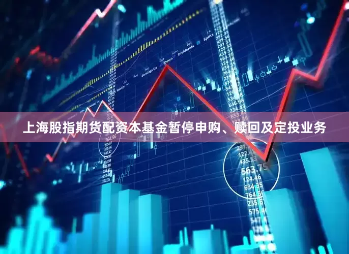 上海股指期货配资本基金暂停申购、赎回及定投业务