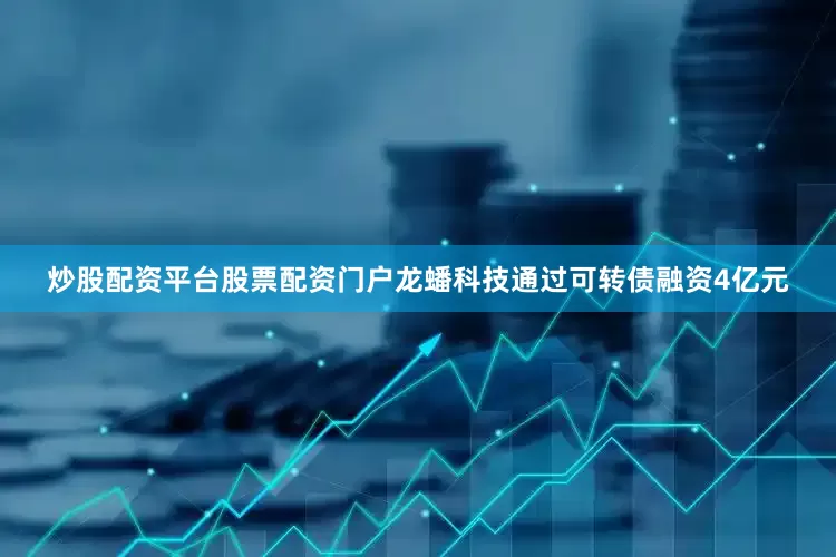 炒股配资平台股票配资门户龙蟠科技通过可转债融资4亿元
