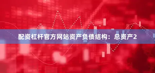 配资杠杆官方网站资产负债结构：总资产2