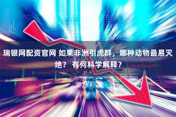 瑞银网配资官网 如果非洲引虎群，哪种动物最易灭绝？ 有何科学解释？