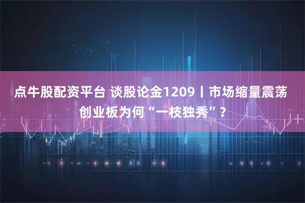 点牛股配资平台 谈股论金1209丨市场缩量震荡 创业板为何“一枝独秀”？