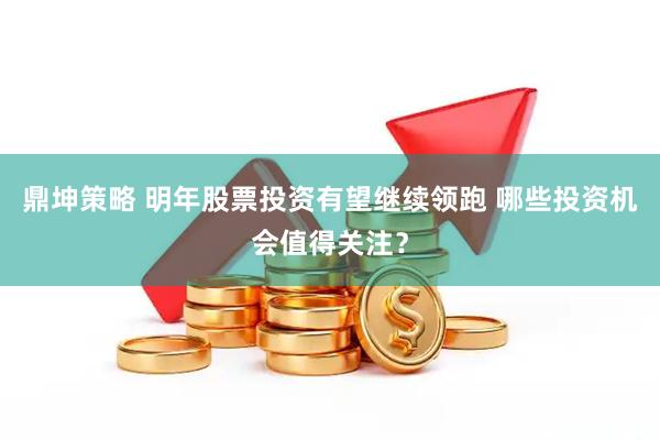 鼎坤策略 明年股票投资有望继续领跑 哪些投资机会值得关注？